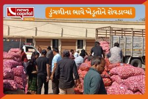 jamnagar marketing yard farmers onion less price