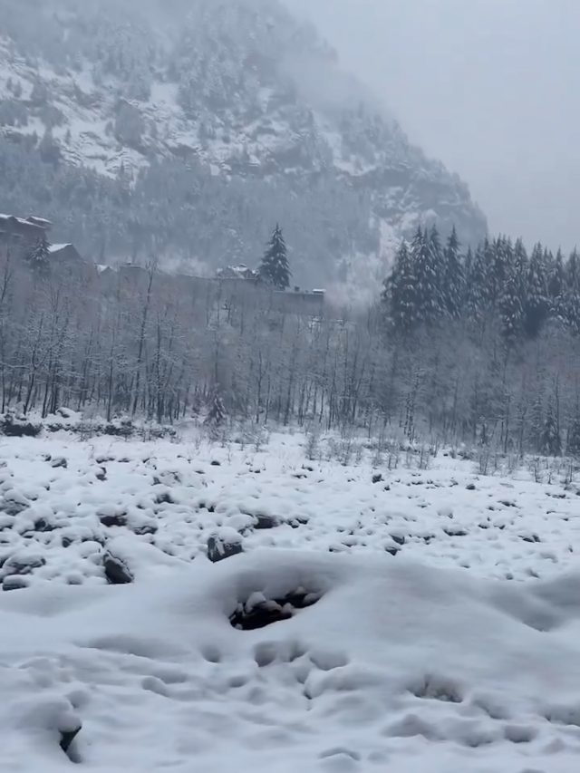 MANALI SNOW