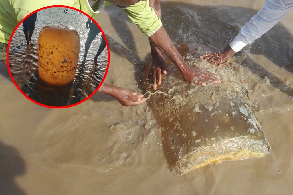 bharuch sea fisherman found 100 kg sphatik shivling